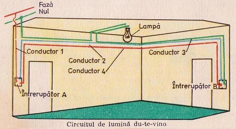 simply Bald amplitude Circuit de lumina du-te-vino (cap scara)